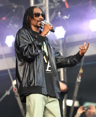 Snoop Dogg - Snoop's been around for more than 20 years and he's evolved in that span. What started as purely gangsta raps gave way to hit singles for the ladies and, more recently, a change in both style of music and content, as he morphed into Snoop Lion to create reggae jams — songs like "No Guns Allowed."&nbsp;(Photo: WENN.com)