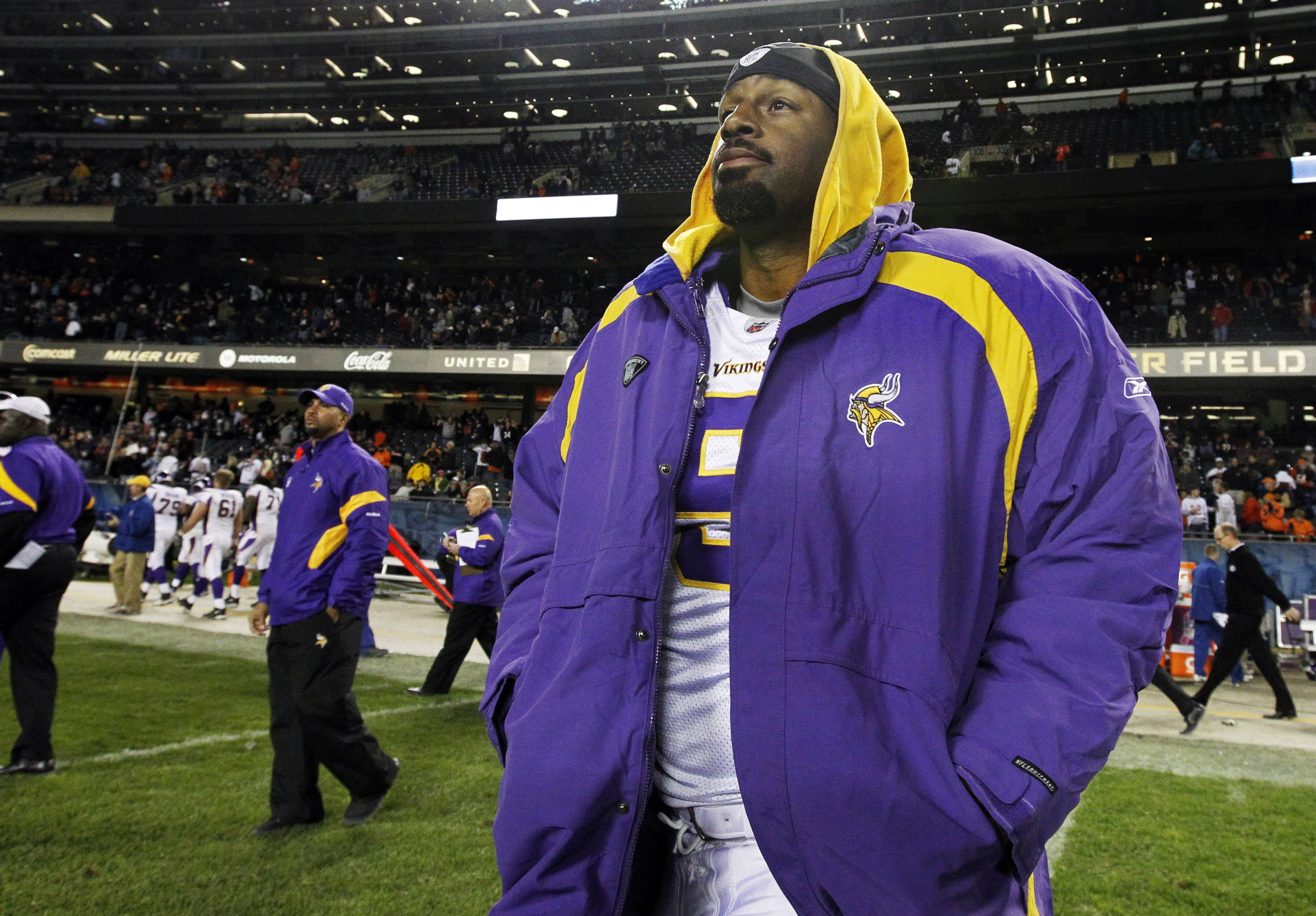 Vikings waive QB McNabb