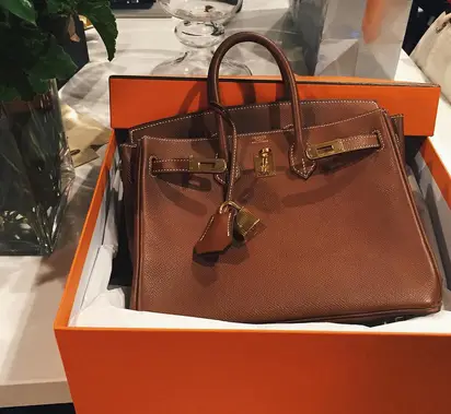 Kylie Jenner Shows Off Kris Jenner's Closet Full Of Birkin Bags