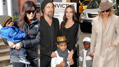 The Rich and the Famous - Celebrities' adopting children from abroad have also been pointed to as influencers of the international adoption craze, giving the practice a trend-like quality.(Photos: Ray Tamarra/Getty Images; Kevin Winter/Getty Images; Doug Meszler/WENN.com)