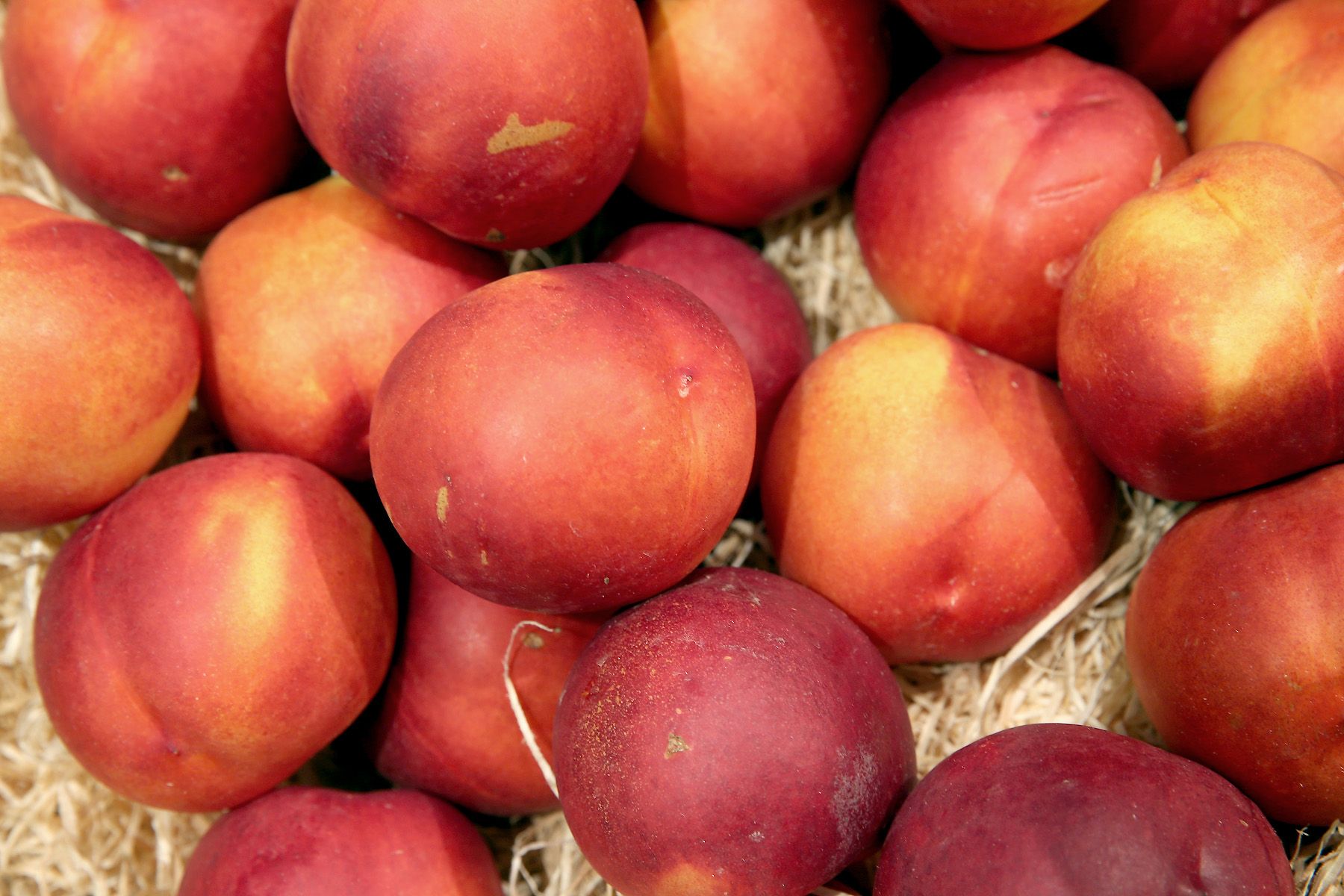 Nectarines Only 65 Image 9 from TeamHealthy 11 Foods To Always
