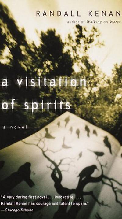 A Visitation of Spirits: A Novel by Randall Kenan - Randall Kenan's first novel, published in 2000, tells a vivid and horrific tale through the generations of a Black North Carolina family. The San Francisco Chronicle, among others, praised Kenan for continuing &quot;[James] Baldwin's legendary tradition of 'telling it on the mountain' by giving voice to the unvarnished truth about Blacks and homosexuality.&quot;(Photo: Vintage Publishers)