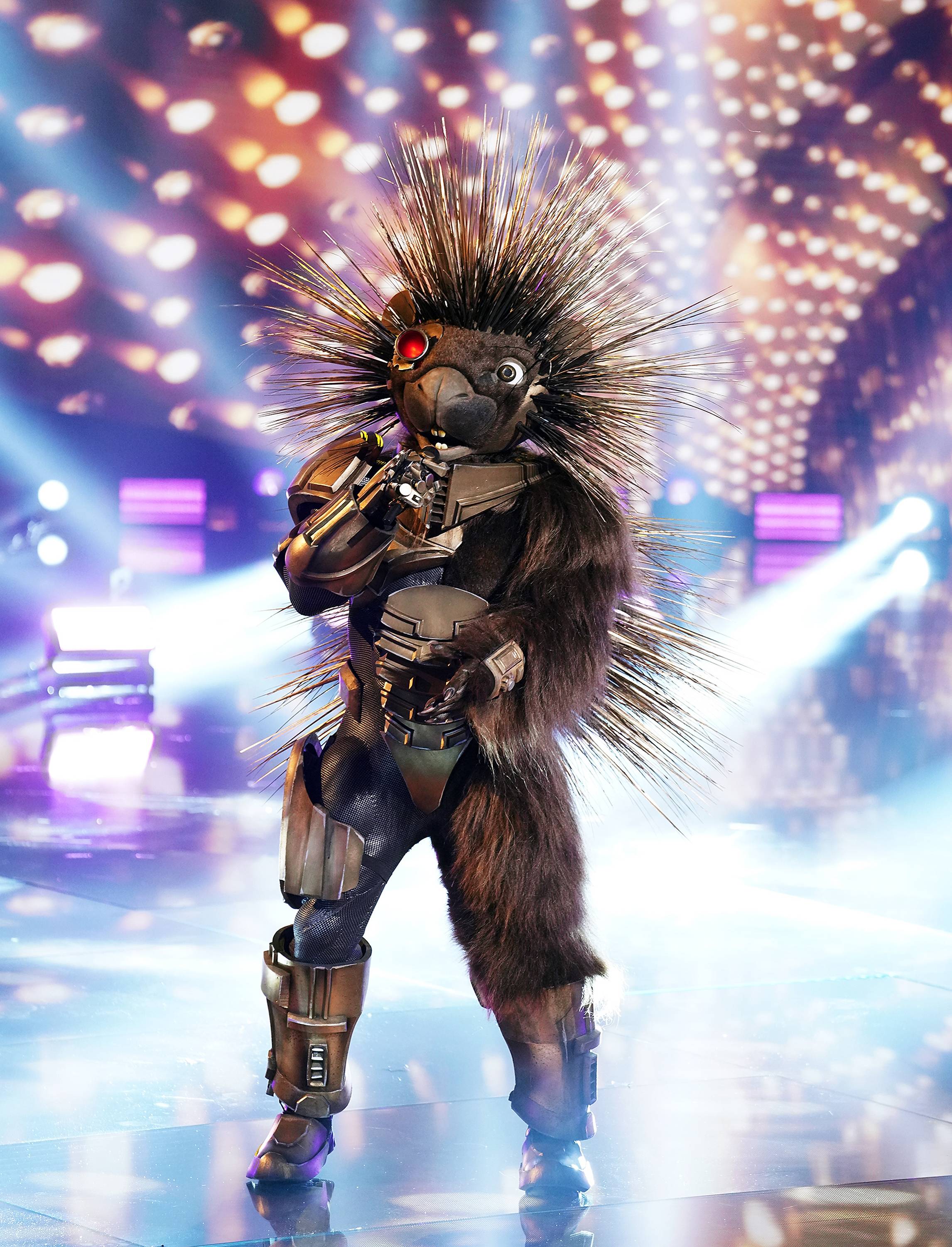 THE MASKED SINGER: Porcupine in the  Return Of The Masks season five premiere episode of THE MASKED SINGER airing Wednesday, March 10 (8:00-9:00PM ET/PT). (Photo by FOX via Getty Images)
