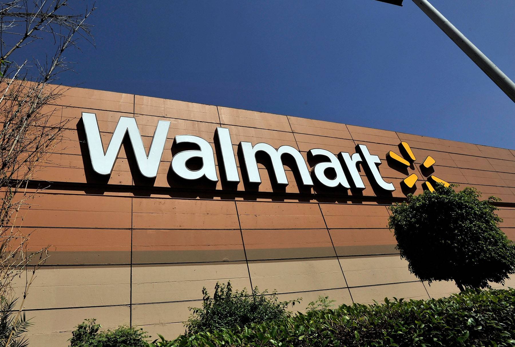 Wal-Mart Buys South African Distribution Company
