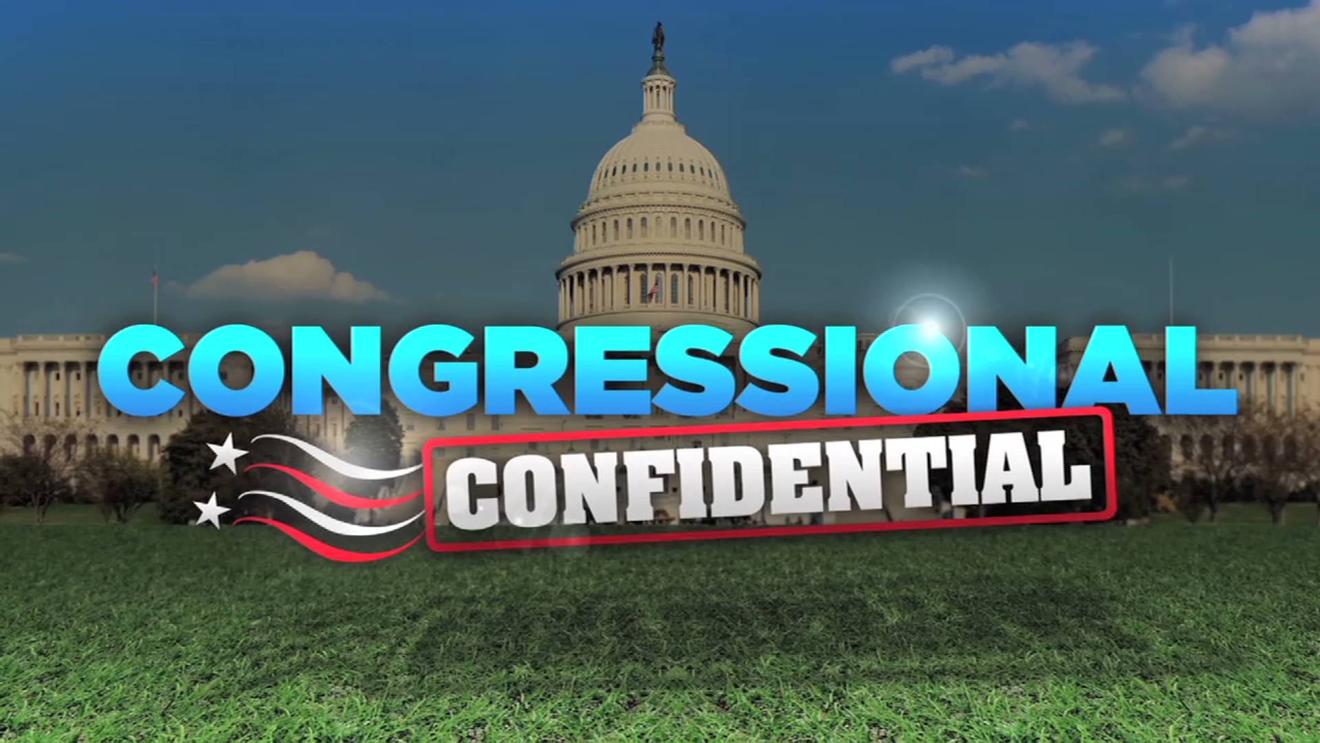 What is the Congressional Confidential?