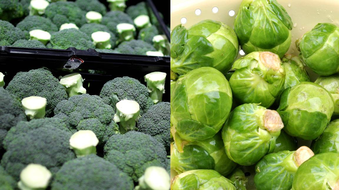 Broccoli, Brussels Sprouts Effective in Treating Aggressive Breast Cancer