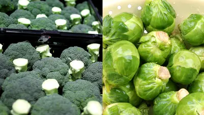 /content/dam/betcom/images/2012/10/Health/101812-health-diets-treating-against-cancer-brussels-sprouts-broccoli.jpg