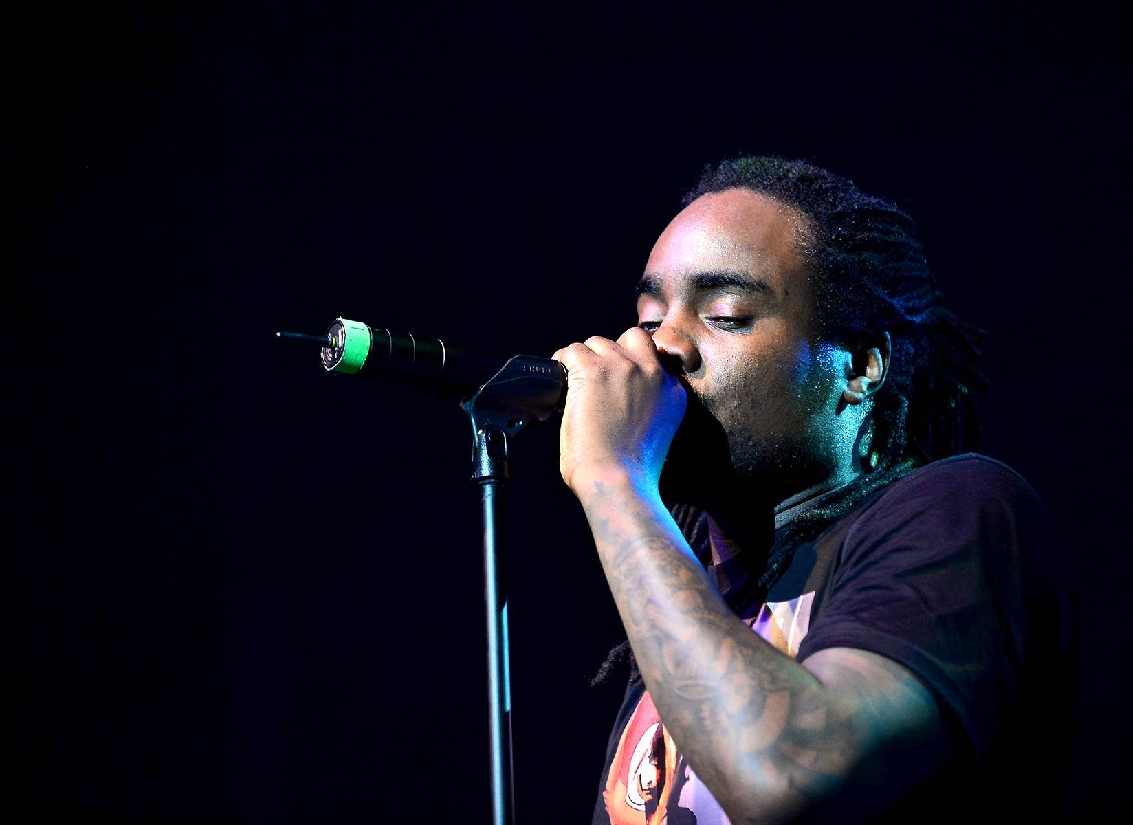 'The Bloom (AG3)' Image 13 from The Rundown Wale, The Album About