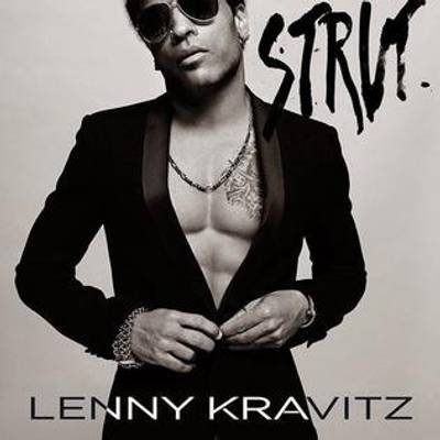 Lenny Kravitz, Strut - For his 10th studio LP, Strut, the rock vet went truly maverick, releasing this international hit via his own label Roxie Records. Buzz-worthy singles included &quot;Ooo Baby Baby&quot; and &quot;The Chamber.&quot; (Photo: Roxie Records)