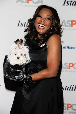 Puppy Love\r - Star Jones attends the 15th Annual ASPCA (American Society for the Prevention of Cruelty to Animals) Bergh Ball at the Plaza Hotel along with her baby Pinky in New York City.&nbsp;\r\r\r\r\r(Photo: Dave Kotinsky/Getty Images)