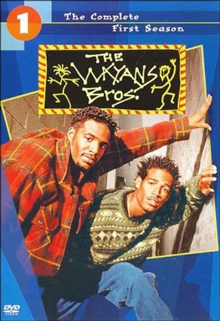 The Wayans Bros - After older brothers Damon and Keenan Ivory took the world by storm with their sketch comedy show&nbsp;In Living Color, Shawn and Marlon put their creative muscles to work and developed The Wayans Bros. sitcom. It ran from 1995 until 1999 and was definitely a highlight of the '90s!  (Photo: Warner Bros. Television)