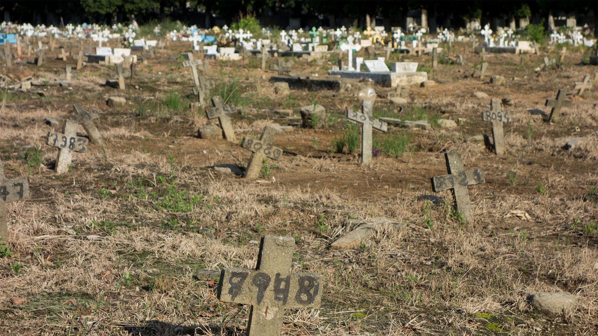 Mississippi Exhumes Dexter Wade's Remains, Adding To Earlier Missteps, His Family Says | News - Vimarsana News