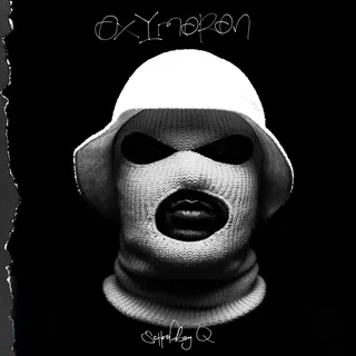 ScHoolboy Q - Oxymoron - ScHoolboy Q delivered an Album of the Year contender with Oxymoron. Q's major label debut topped the charts thanks to standout tracks like "Collard Greens" featuring fellow TDE rapper Kendrick Lamar and "Man of the Year."(Photo: TDE/Interscope Records)