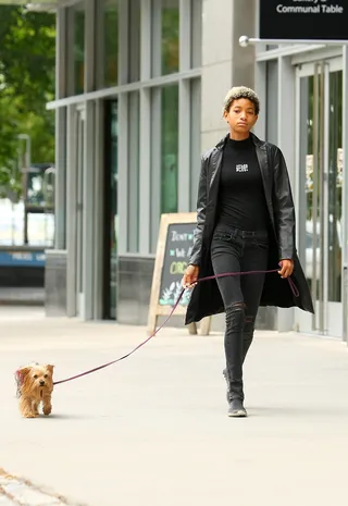 Puppy Love - Willow Smith&nbsp;looks like a model while walking her dog in downtown Manhattan.(Photo: Splash News)