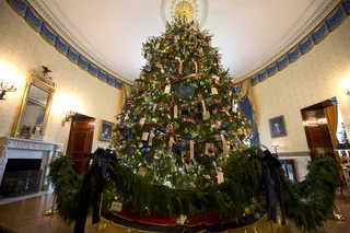 All Dressed Up - The official White House Christmas tree on display in the Blue Room of the White House.&nbsp;(Photo: AP Photo/Jacquelyn Martin)