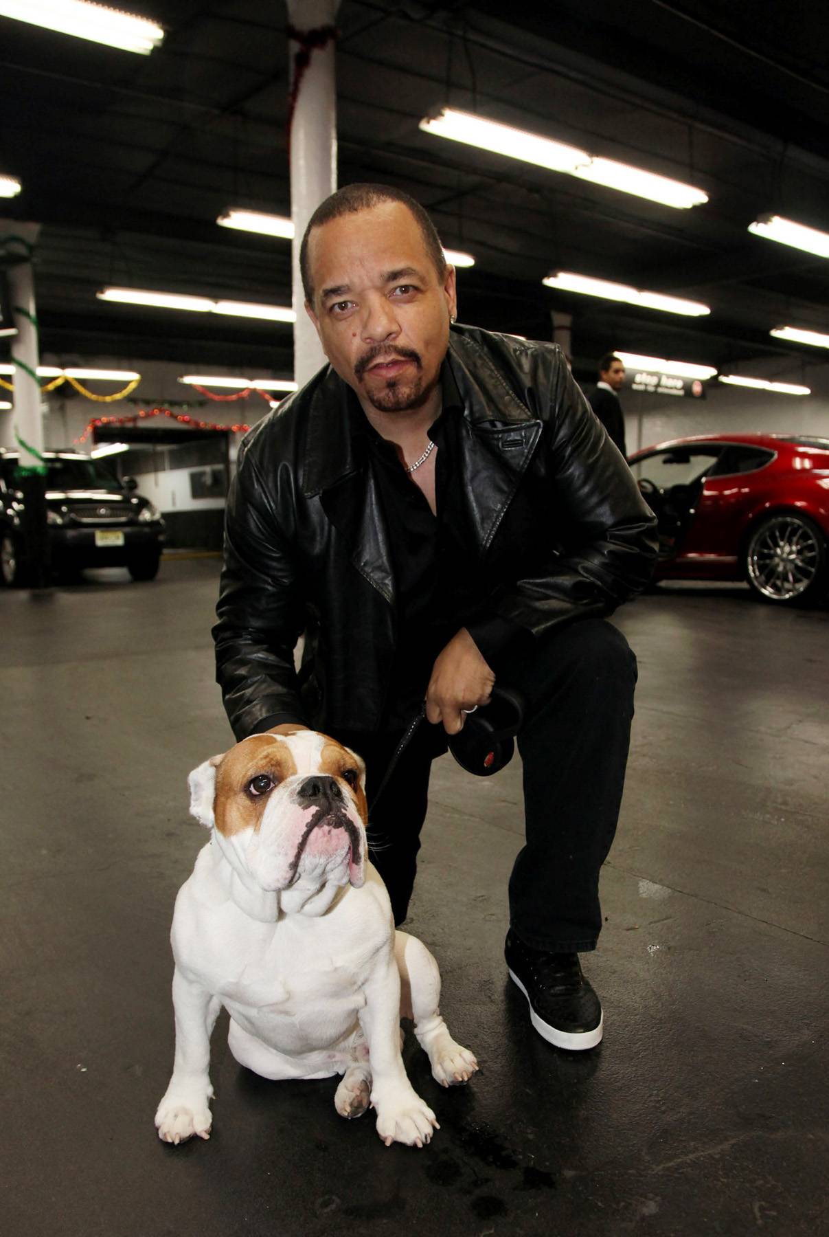 Puppy Love - Ice-T and his dog, Spartacus, attend the Long Island Bulldog Rescue Party for Paws at E&amp;E Grill House Restaurant in New York City. (Photo: Johnny Nunez/WireImage)