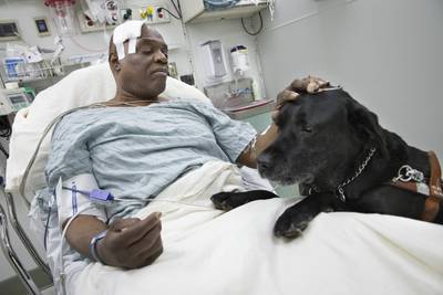 Blind Man Who Fell on Tracks Gets New Dog - Cecil Williams?s Black Labrador guard dog, Orlando, saved his life last month when the man fell onto subway tracks in New York City. Now he welcomes Godiva, a yellow Labrador, to the family. With the help of generous donors, Williams was also able to keep Orlando.&nbsp;(Photo: AP Photo/John Minchillo)