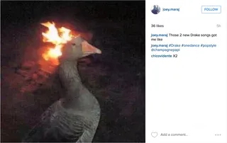 This Bird Is On Fire - We're pretty cooked and well done after these two tracks. We want more Views From the 6!&nbsp;(Photo: Joey Maraj via Instagram)