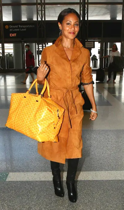 celebrity orange goyard bag