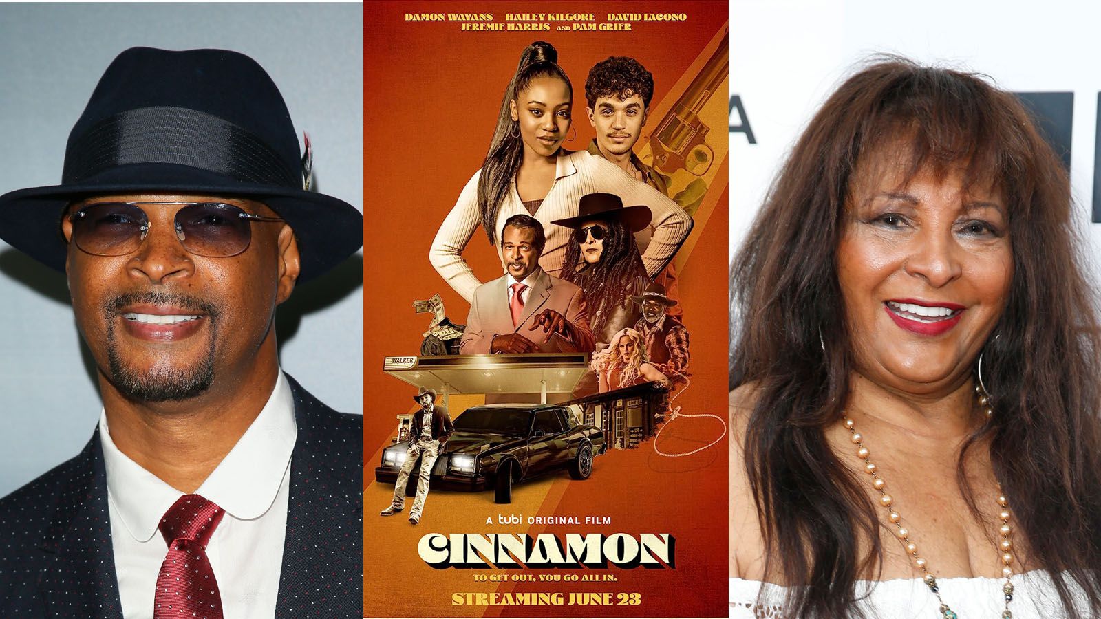 Pam Grier And Damon Wayans On Their Black Noir Film 'Cinnamon' - Vimarsana News