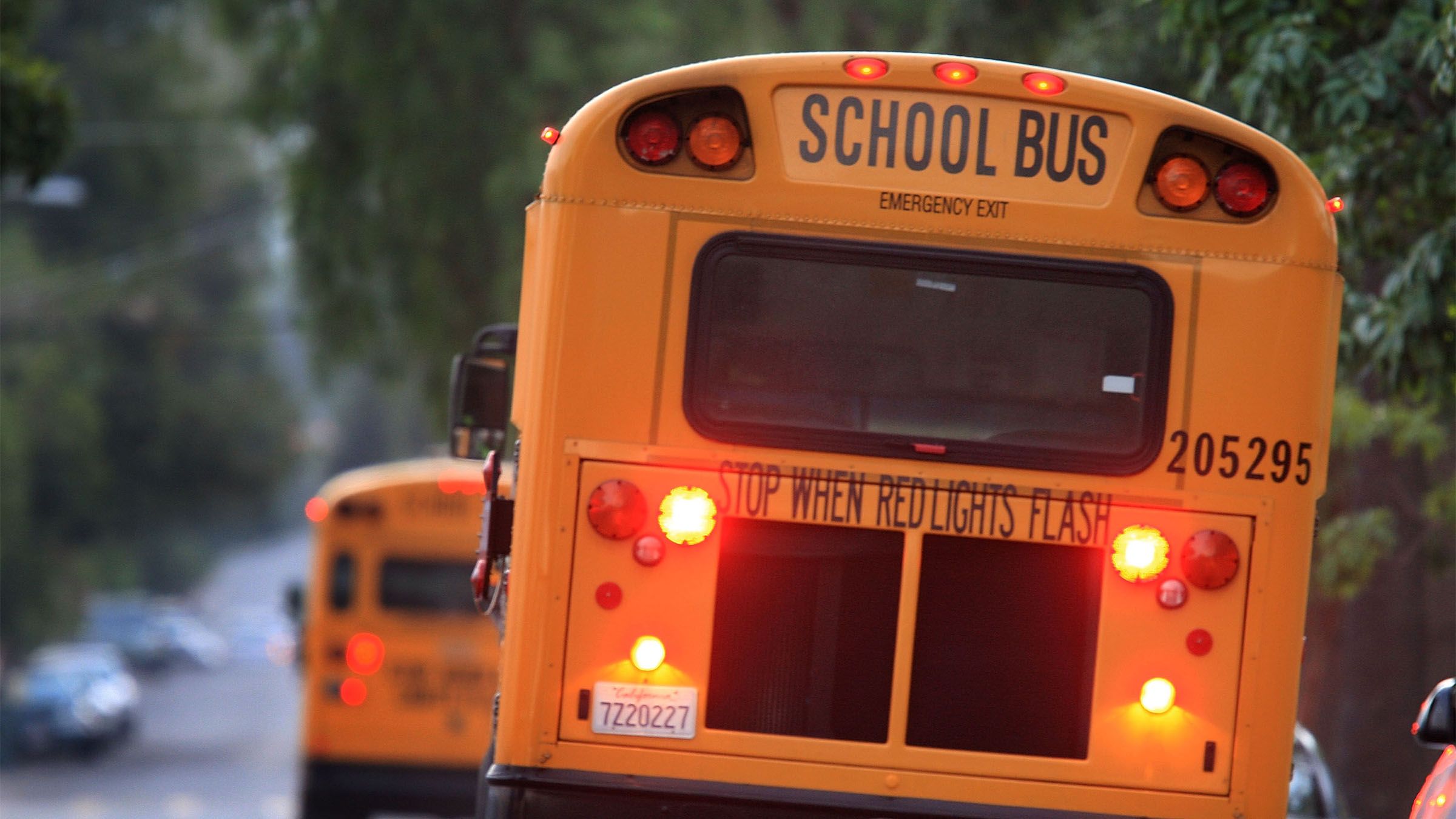 Florida Elementary School Removes Black Students From Class For Covert Assembly on Low Test Scores | News - Vimarsana News