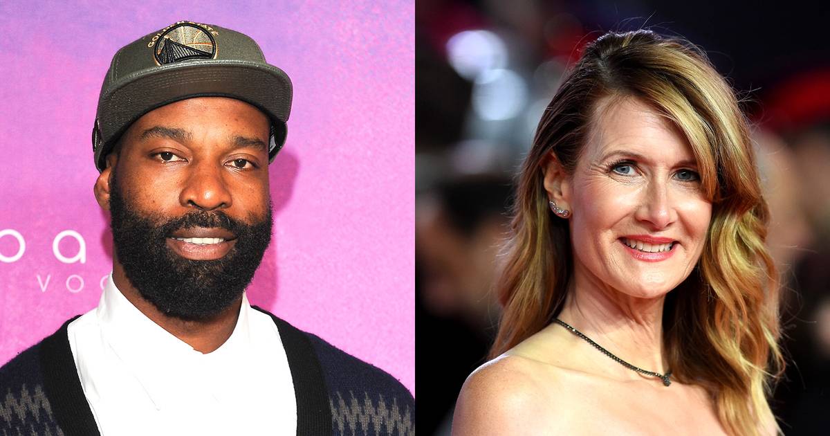 Laura Dern steps out with pal after 'kissing' Baron Davis