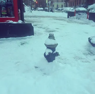 Spike Lee  - The filmmaker takes us on a tour through snow-covered Brooklyn. We’re getting chills just thinking about those frigid temps.&nbsp; (Photo: Spike Lee via Instagram)