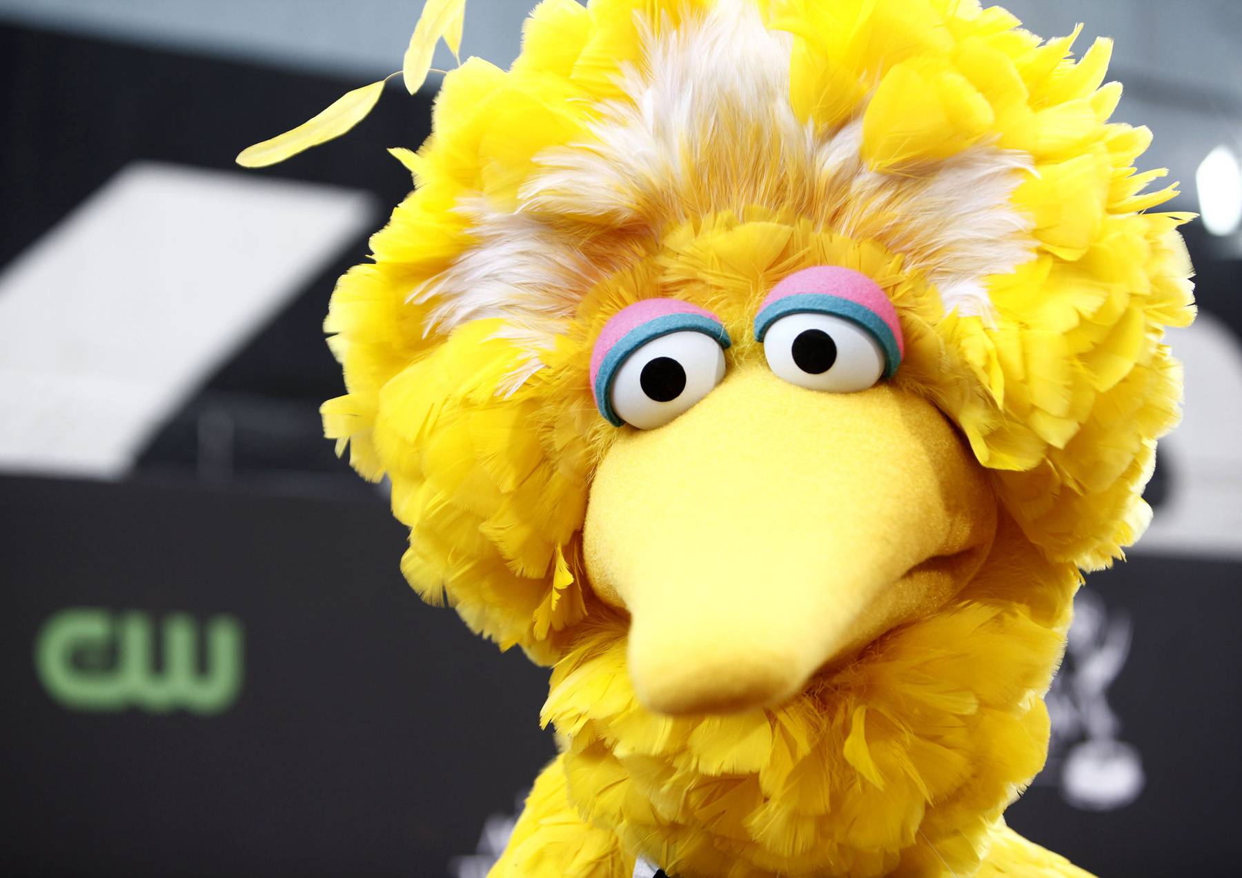 Big Bird, Sesame Street