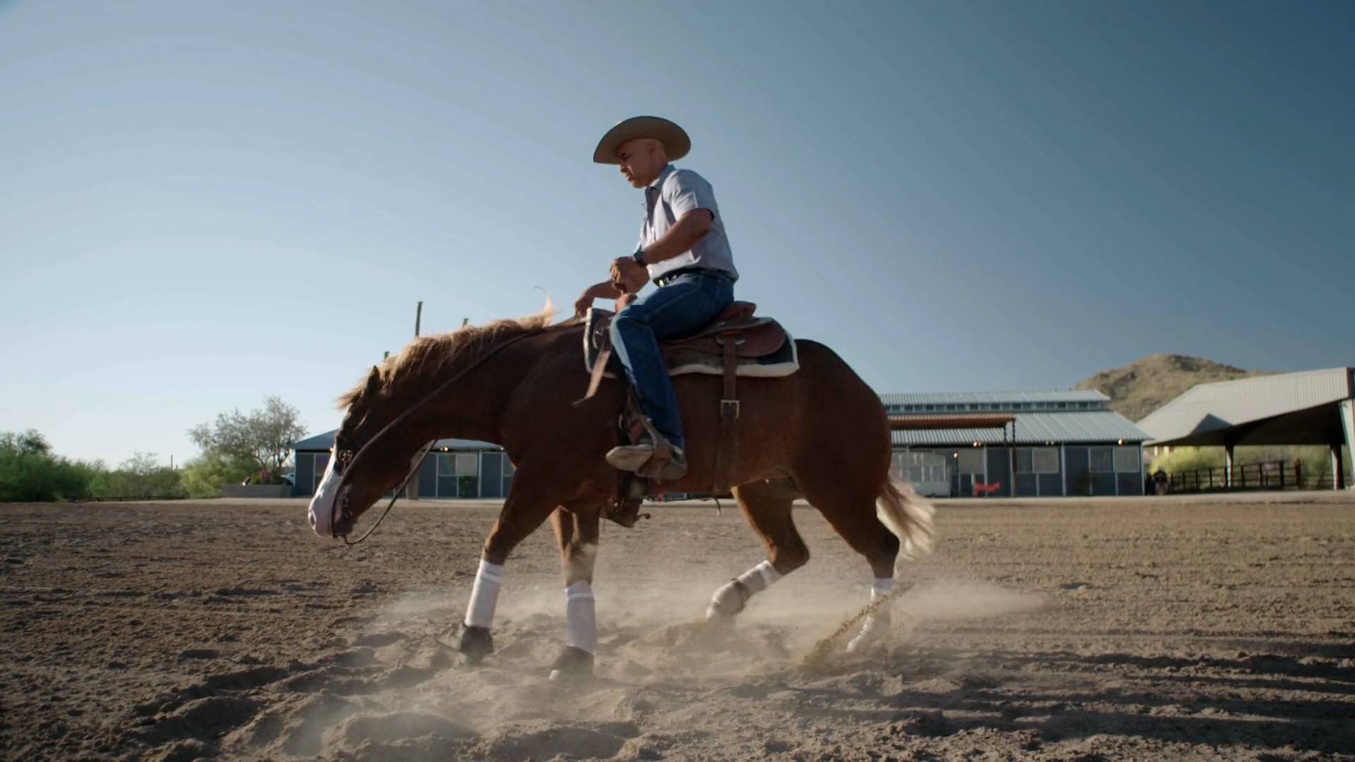 What to Look for in the Cactus Reining Classic The Last Cowboy (Video