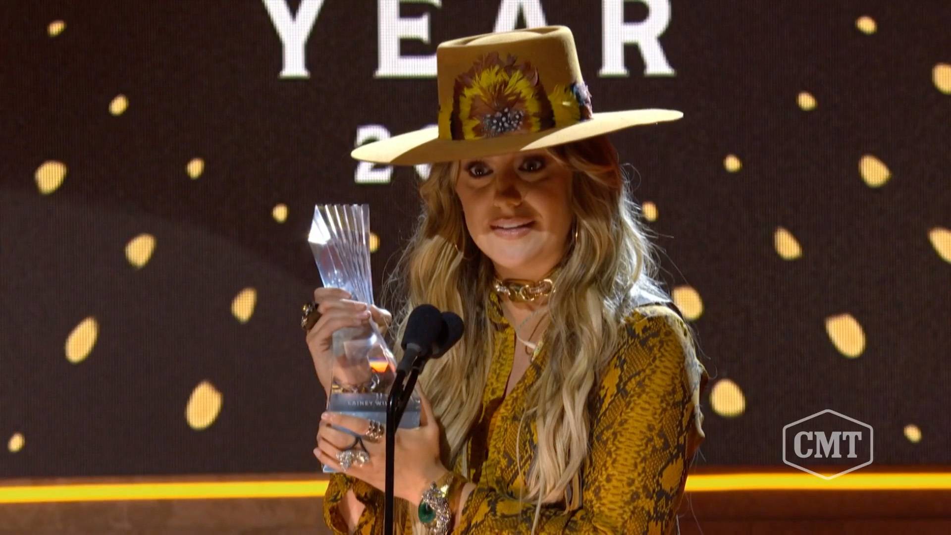 Yellowstone' Star Lainey Wilson Wore a See-Through Outfit Ahead of CMT  Awards and Fans Are Stunned