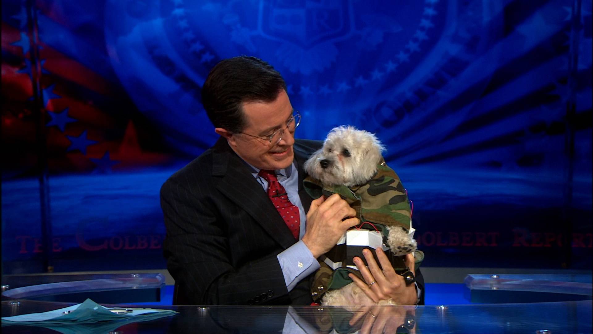 Middle Eastern Dogs - The Colbert Report (Video Clip) | Comedy Central US