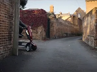 mgid:file:gsp:scenic:/international/mtvema/2015/images/gifs/43_sheeran-bird.gif