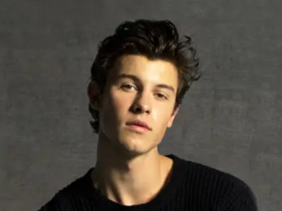 Favourite Male Artist: Shawn Mendes