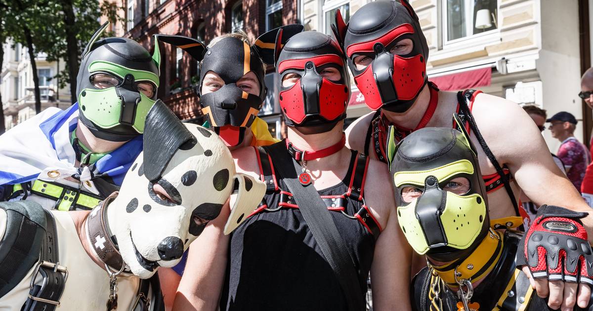 Making Fetch Happen: A Guide to Becoming a Gay Pup | News | Logo TV