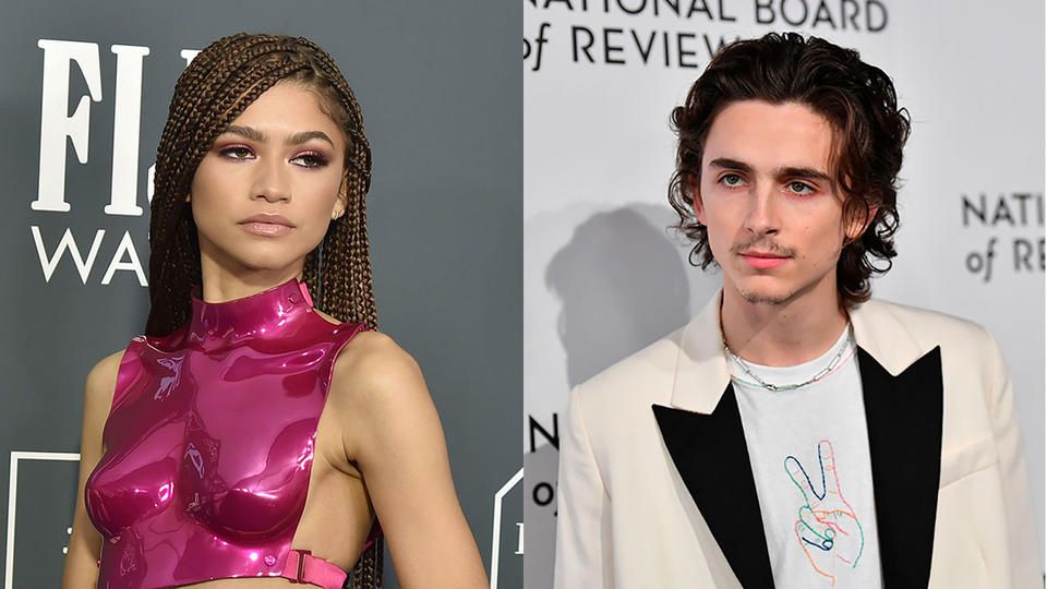 Zendaya And Timothee Chalamet Have Been Pictured Shopping At A Bed Bath ...