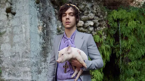 Harry Styles Has Posed With More Farm Animals For Gucci And Life Will Never Be The Same