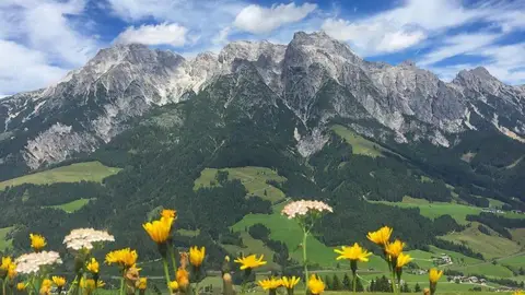 The Austrian Alps