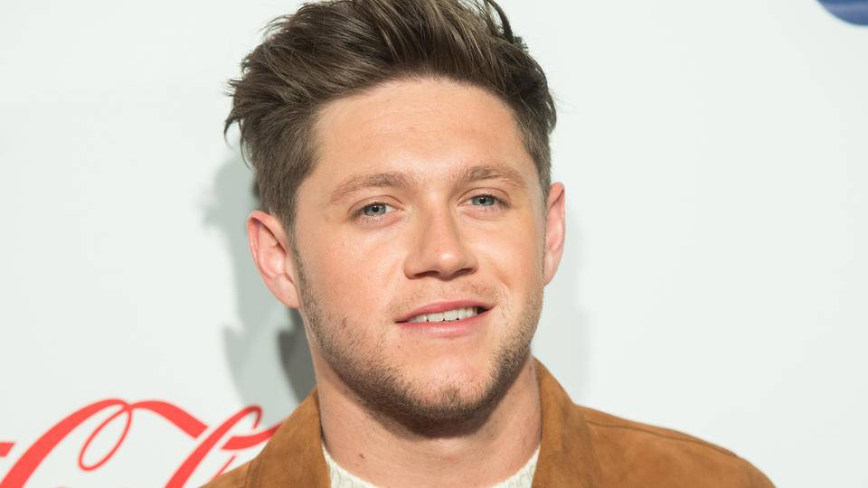 Did Niall Horan Vote No On Instagram Stories To A Fan Who Wanted To ...