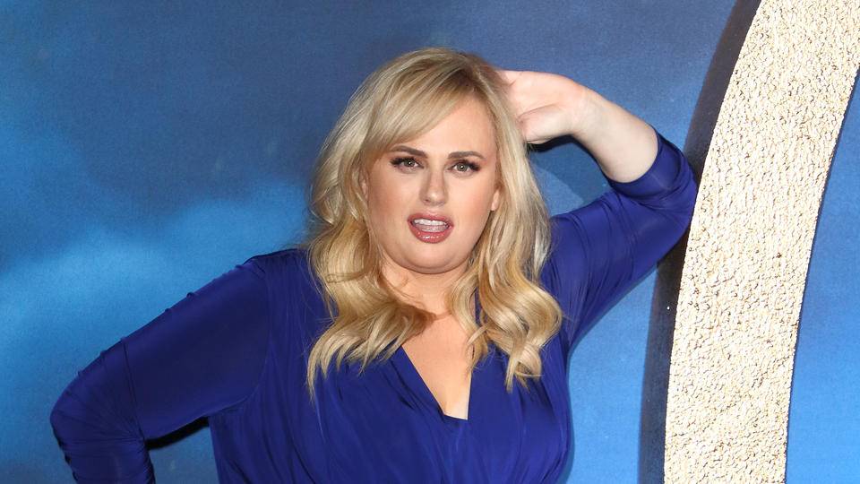 And Now A Lesson From Rebel Wilson On How To Produce Thirsty Iso ...