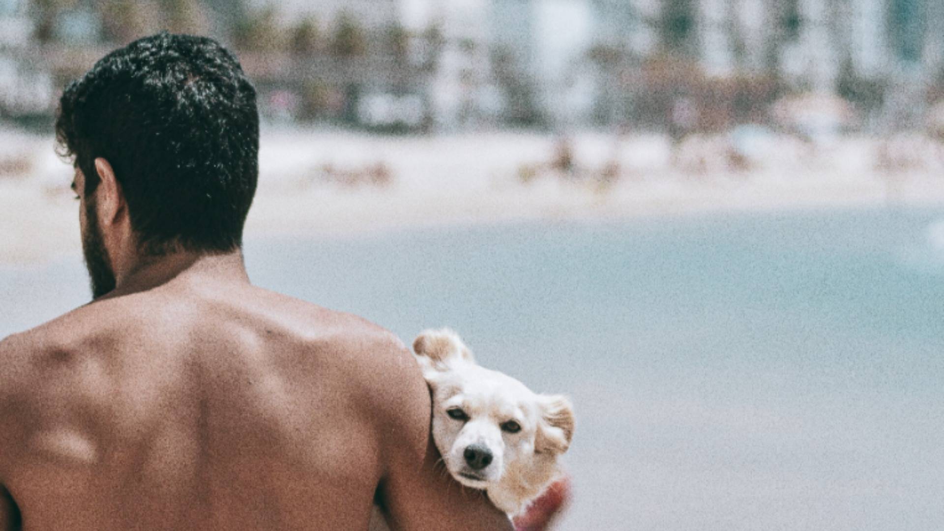 Man with brown skin on beach carrying a white dog