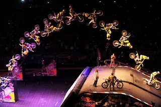 Nitro Circus Live.