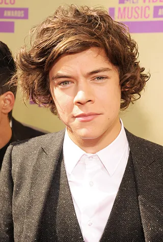 Harry Styles arrived at the 2012 Video Music Awards with his hair styled in more than one direction. His signature tousled tresses always wow the crowd.