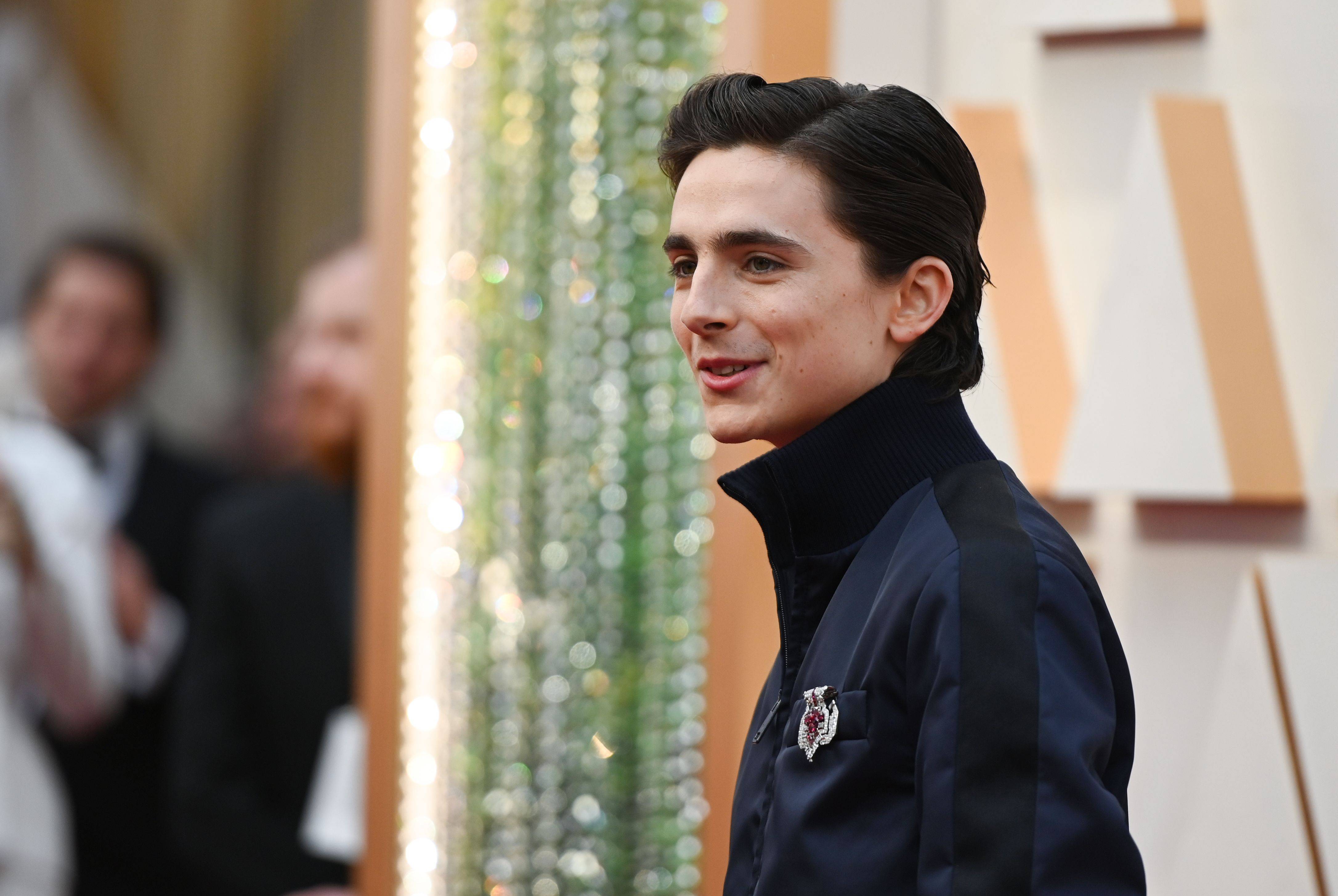 Timothée Chalamet's Oscars 2020 red carpet outfit divides fans