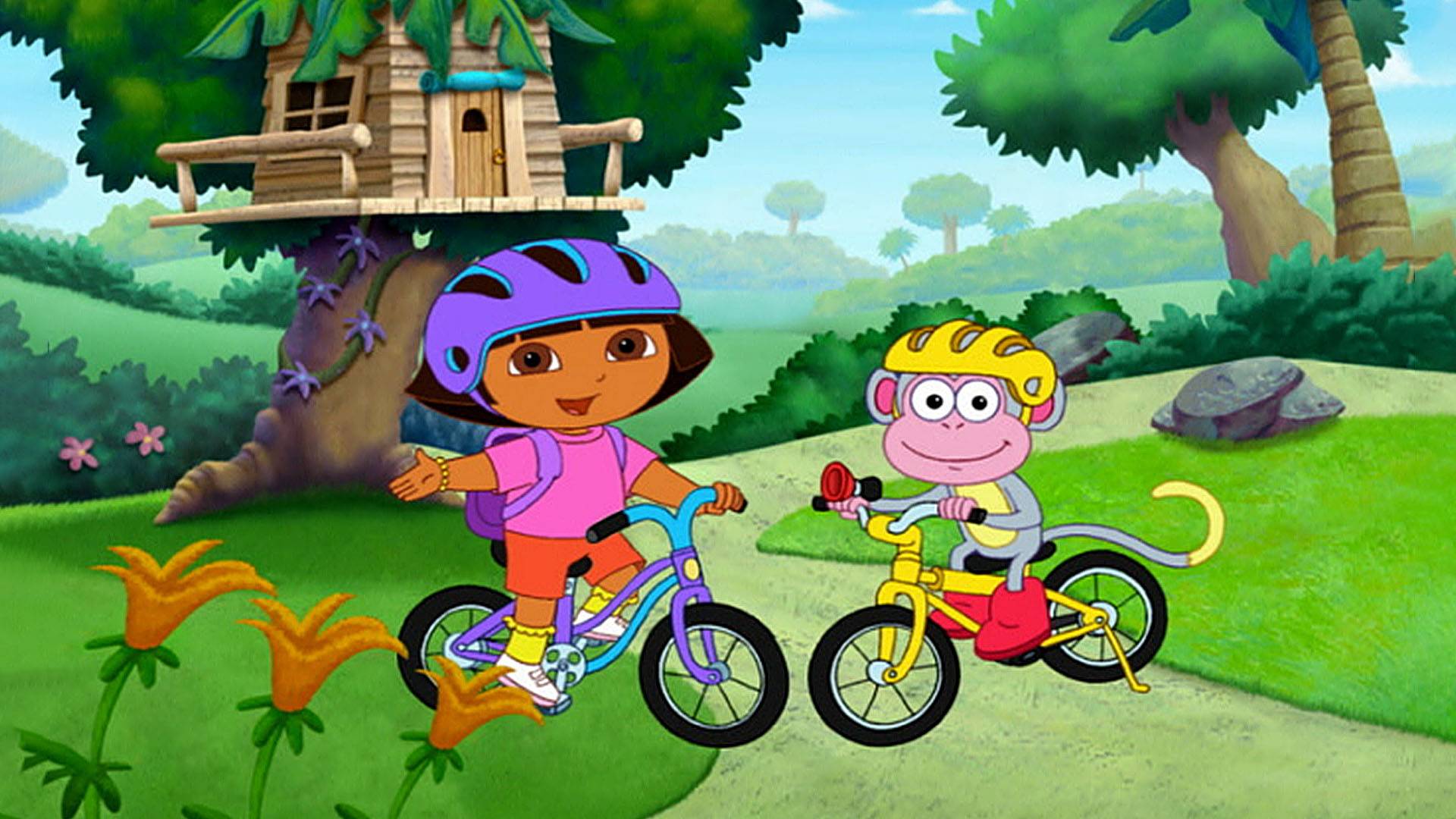 Dora the explorer bicycle hotsell