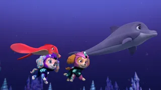 Paw_919A_Skye_and_Coral_Aqua_Pups.jpg