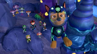 Paw_919A_Chase_Aqua_Pups.jpg