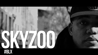 Welcome to Brooklyn - Watch In Brooklyn With Skyzoo(Photo: BET)