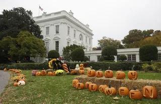 A Presidential Pumpkin Patch - (Photo: AP Photo/Pablo Martinez Monsivais)