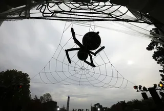 Not So Itsy Bitsy - A giant inflatable spider on a cobweb adorned the South Portico of the White House. (Photo: AP Photo/Pablo Martinez Monsivais)