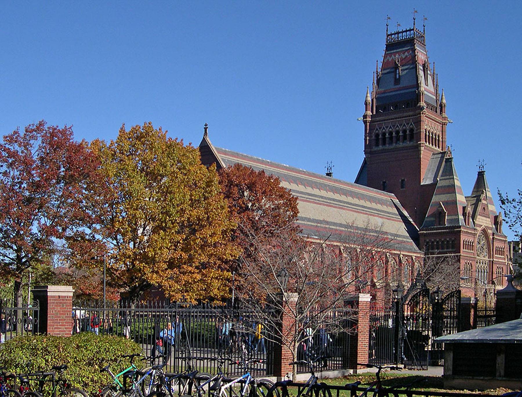 Harvard Students Build Shantytown on Campus